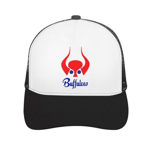 メッシュキャップ 大阪近鉄バファローズ ベースボールキャップ